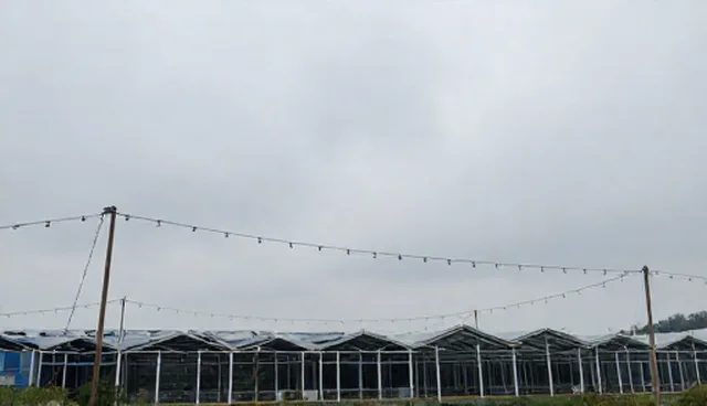 误区澄清:技术转让中的应用开发是否应完全独立?